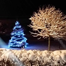 Rozsvěcování vánočního stromečku