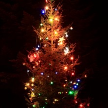Rozsvěcování vánočního stromečku