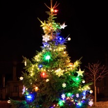 Rozsvěcování vánočního stromku
